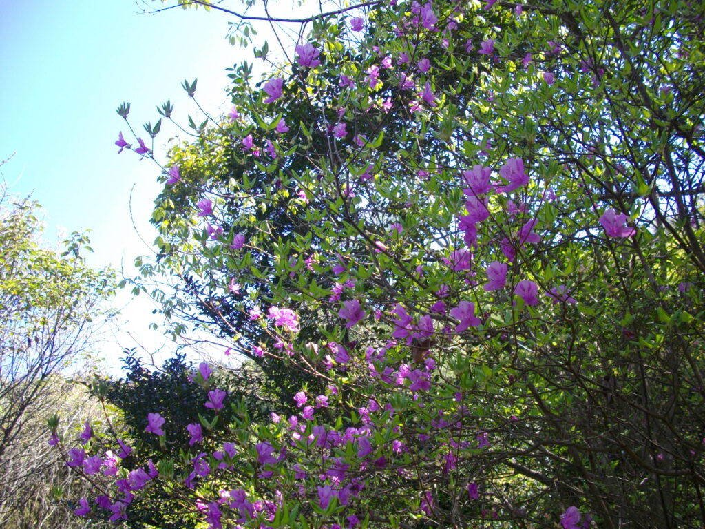 10：23　続きます。