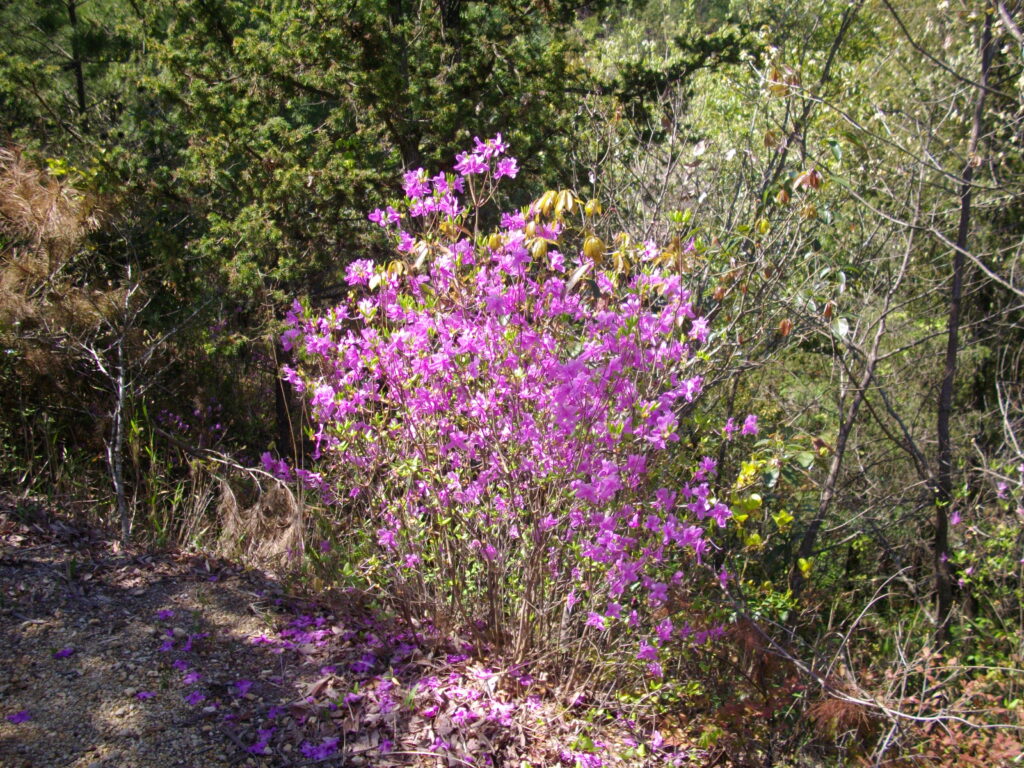 10：24　こちらでも