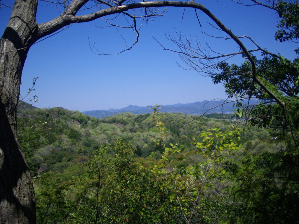 10：25　途中にところどころから見える景色です。