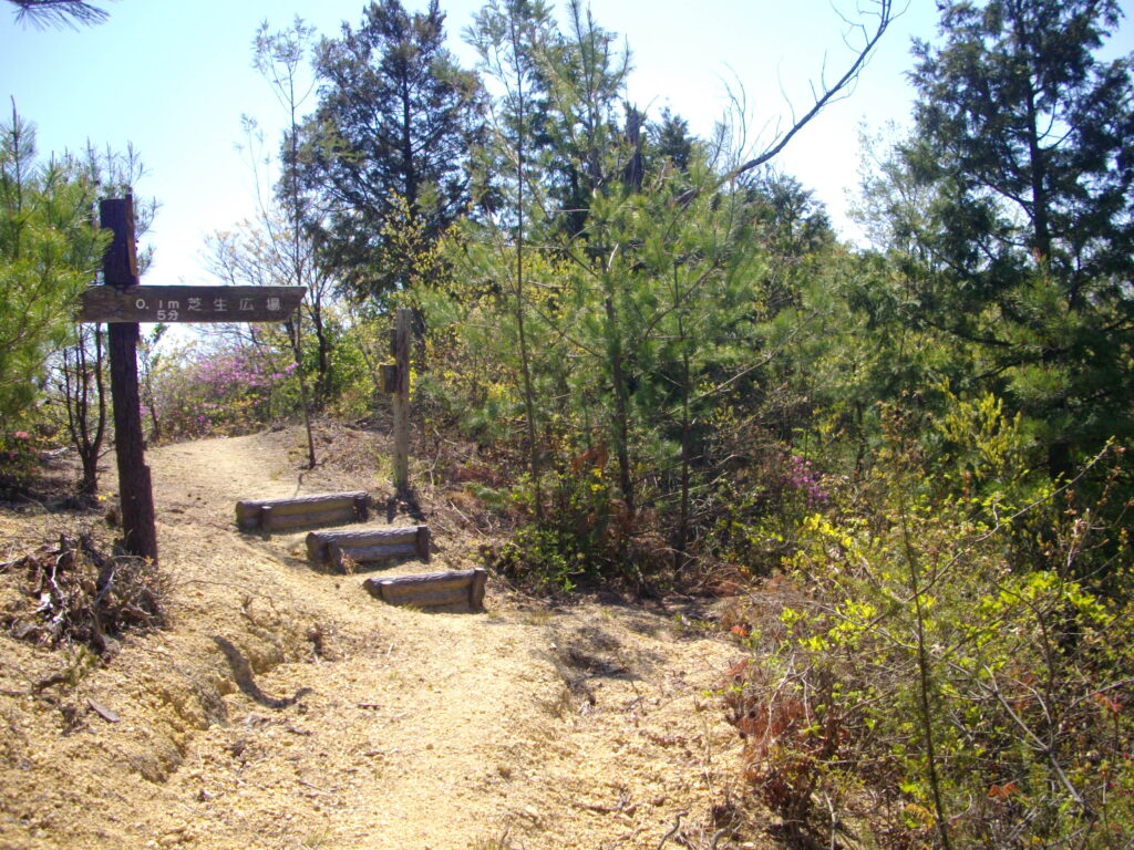 10：31　最初の分岐です。
しかし、右へ行くと途中で手入れが放棄されたようで、前へ進めません。もっとも、ムリをすればどこからでも降りられるだろうと思います。