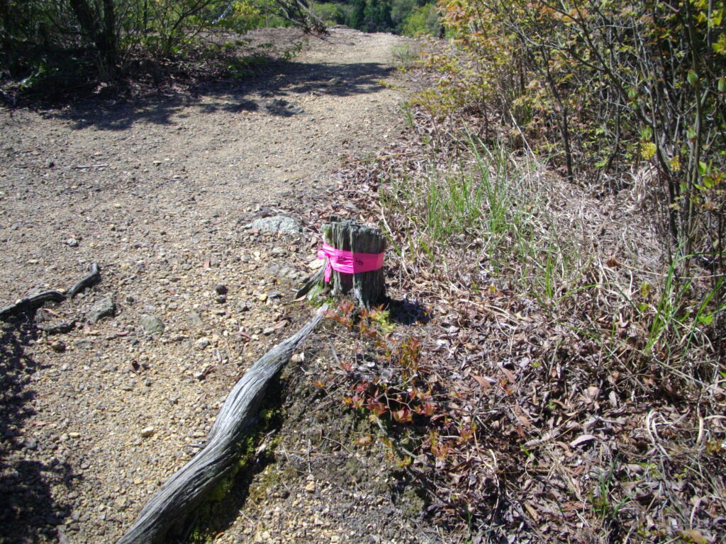 10：34　東の山の頂上です。赤いテープに東の山と書いてあります。