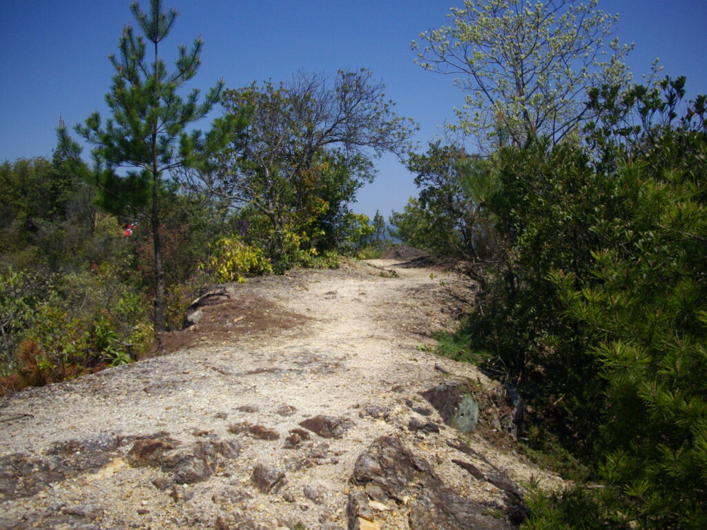 11：24　第一展望台へ続く道です。
