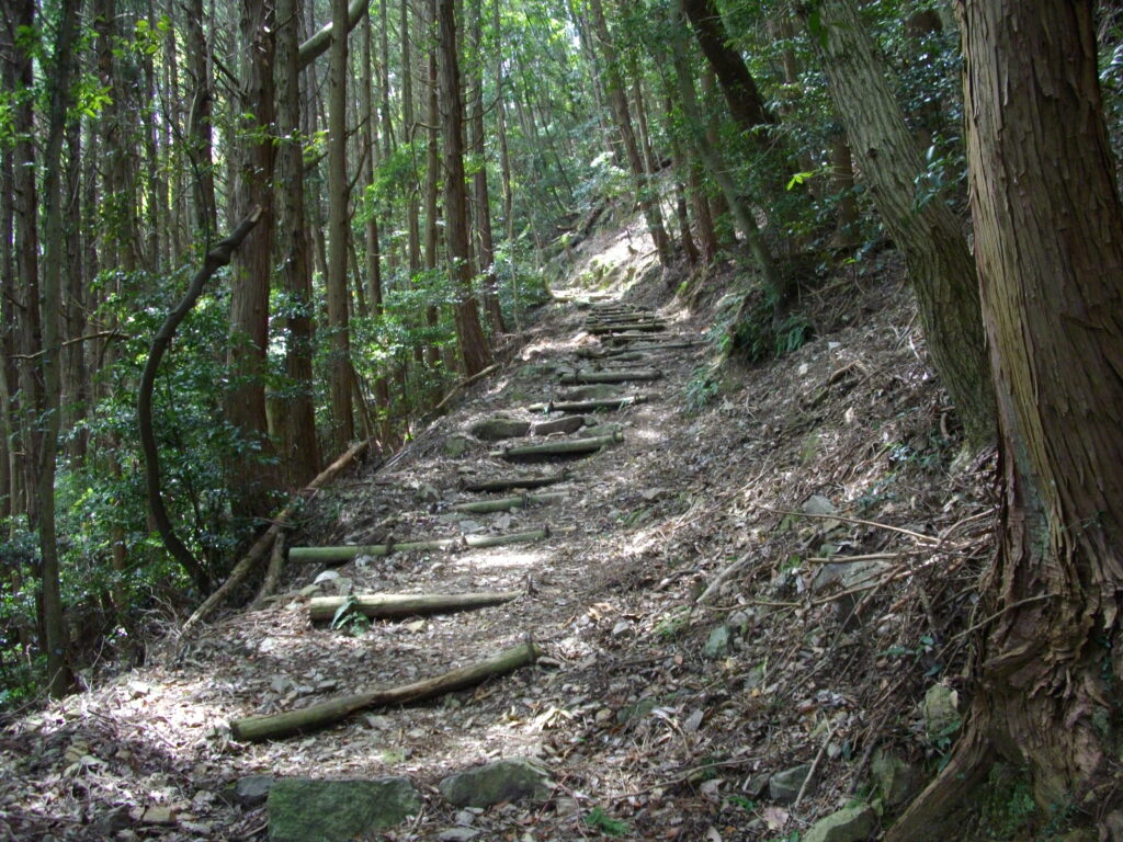 10：40　参道の様子です。