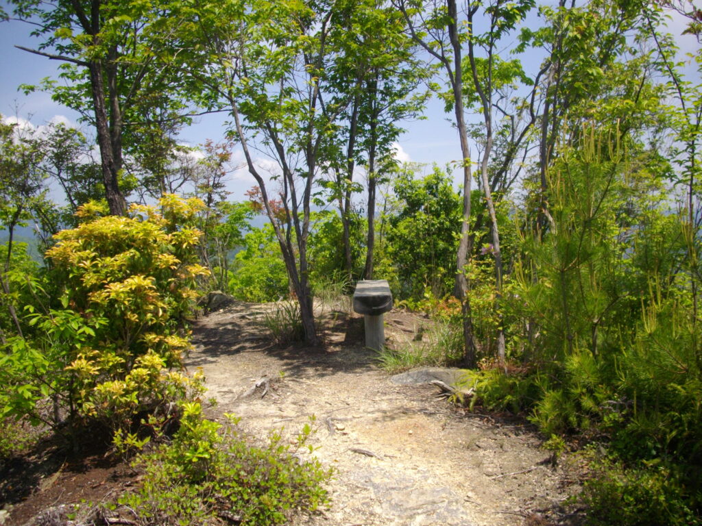 10:50 次のピークにあるベンチです。