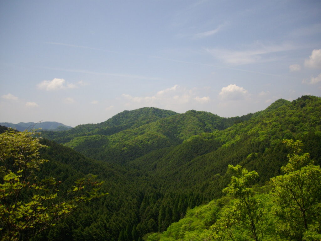 10:55 そこから見える景色です。