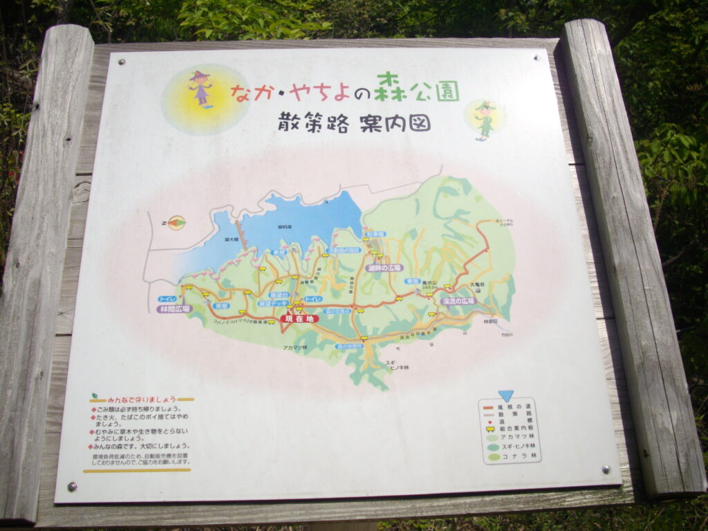 10:59 こういう案内図がたくさんあります。