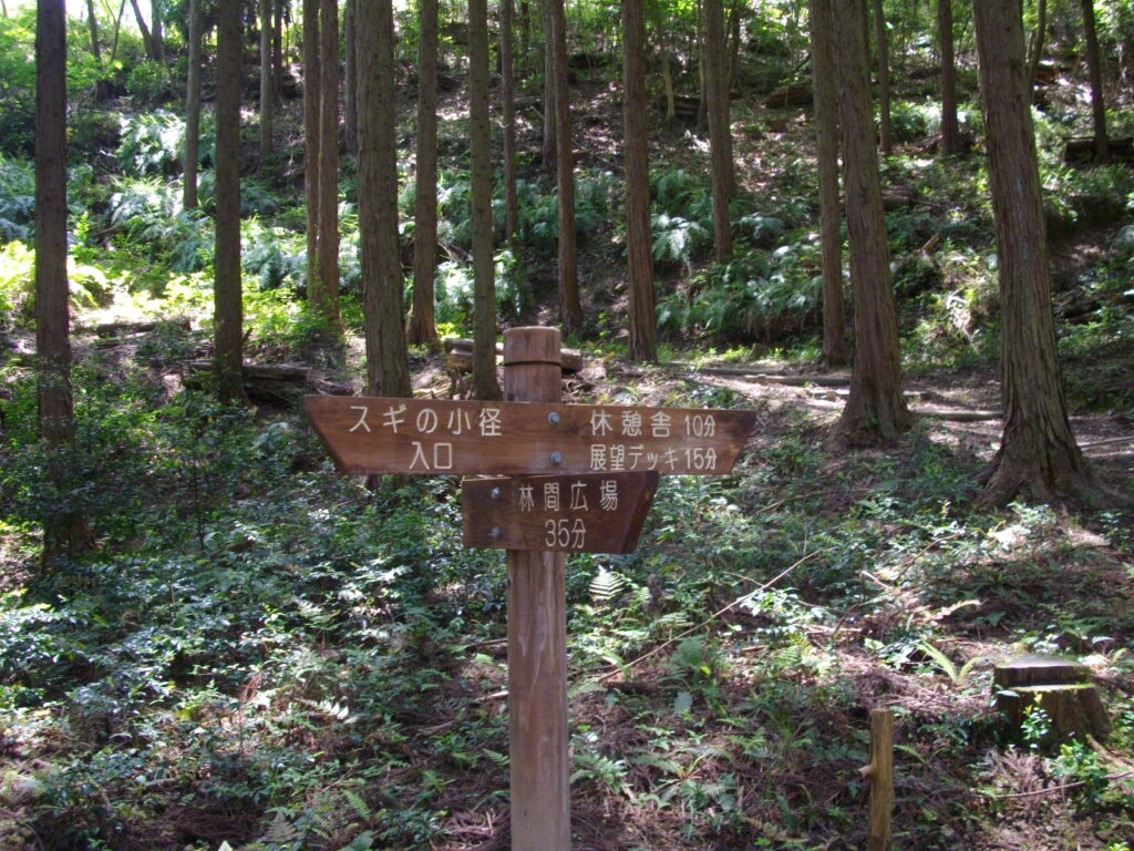 12:01 山の交差点を越えて、みはらしの小道を通り、林間広場に戻りました。
12:52 林間広場着