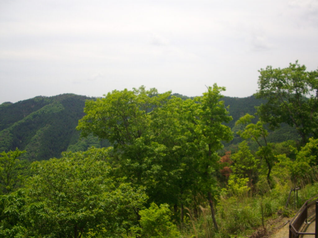 12：33　展望台からの眺めです。