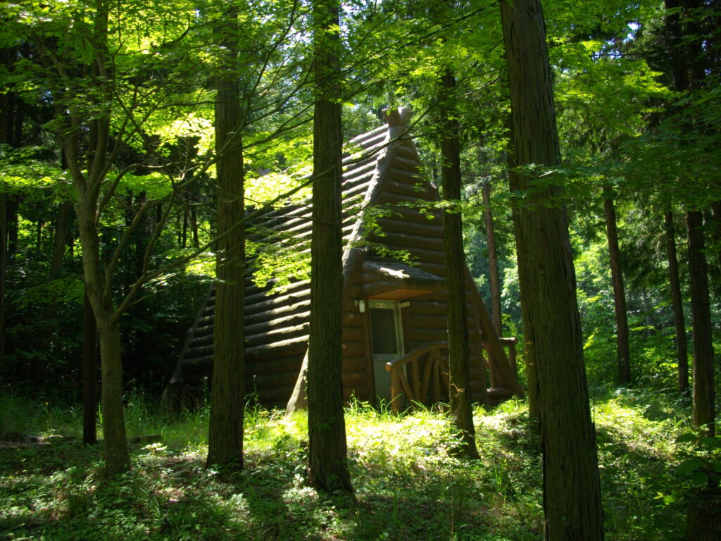 10：19　陶の郷にあるログハウスです。林間にありお隣とも距離があるので、過ごしやすそうです。機会があれば来てみたいと思います。