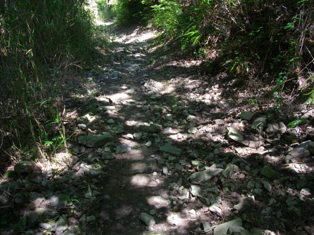 10：23　ログハウスを過ぎると舗装がなくなり、自然道になります。かなり大きな石があります。が、それほど歩きにくいことはありません。