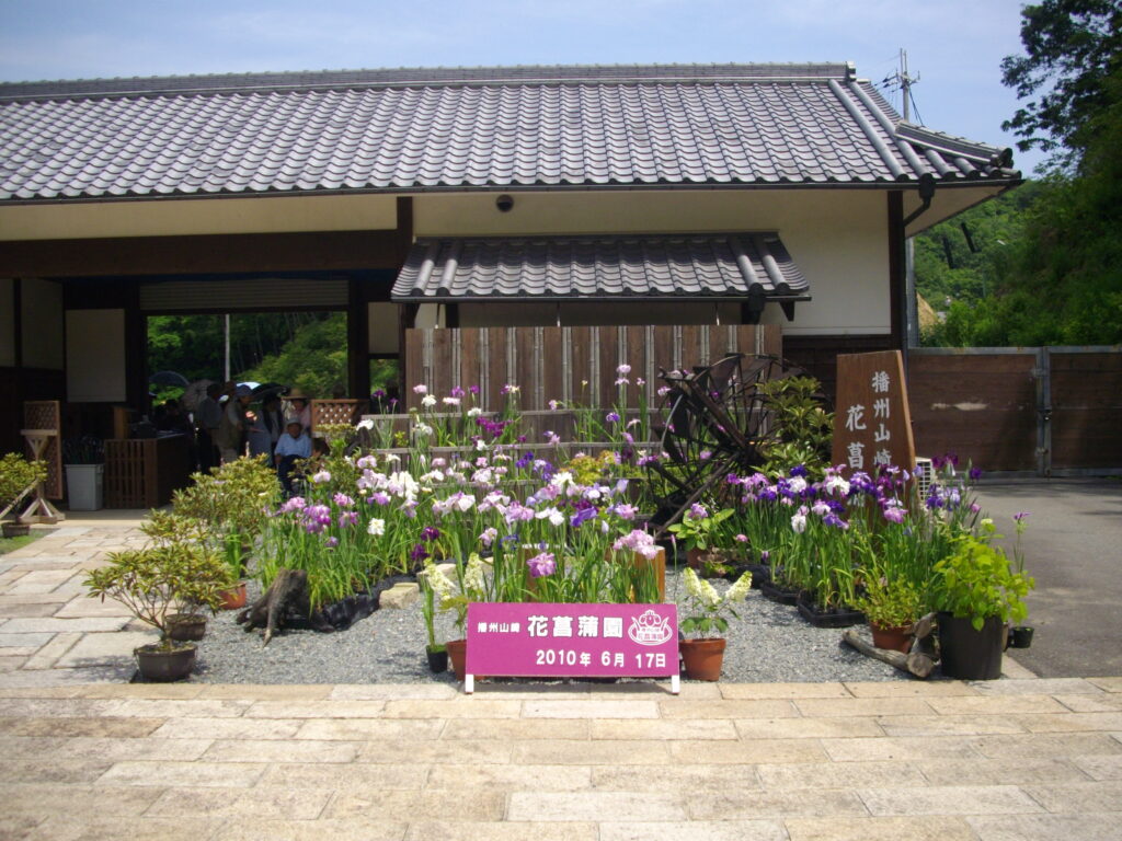 播州山崎花菖蒲園