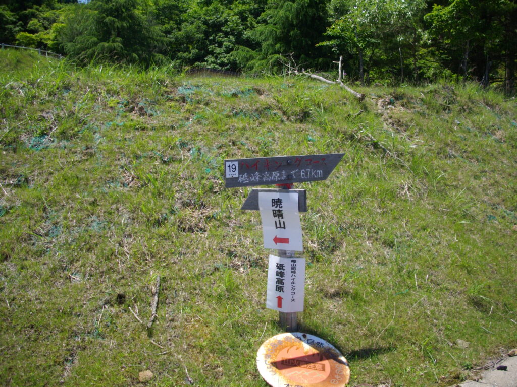 12：54　ハイキングコースとの分岐です。