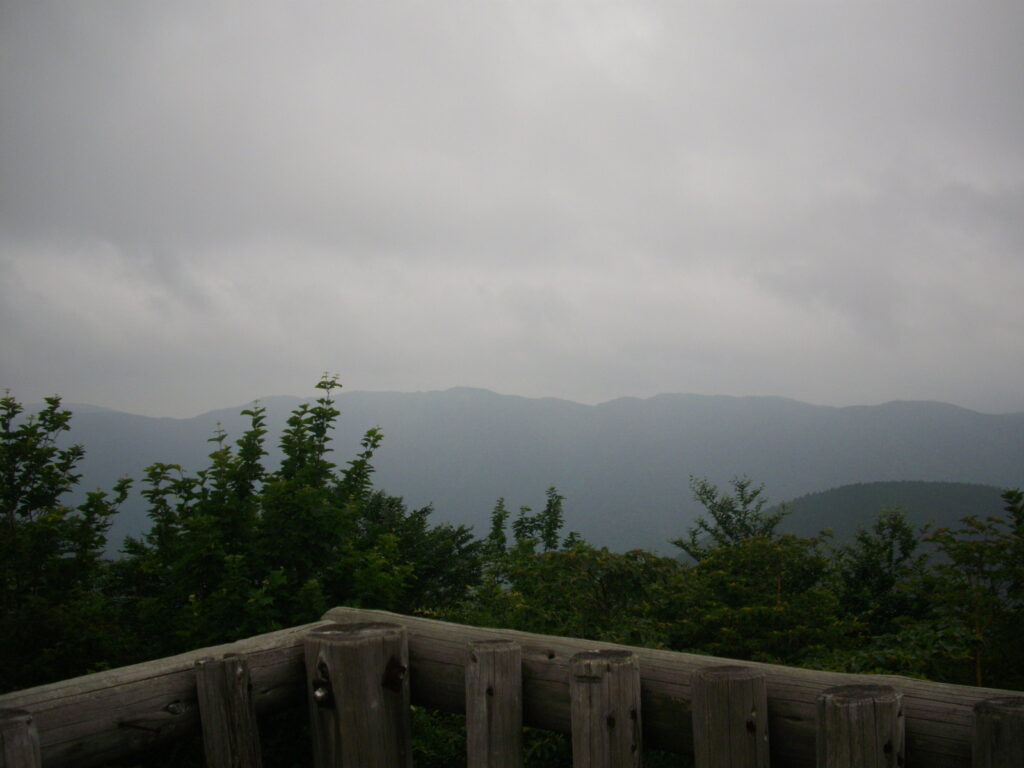 11：09　ほぼ全体を見渡せます。