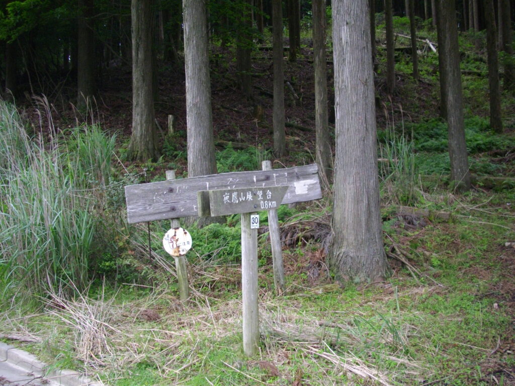 11：31　登山口に戻ってきました。