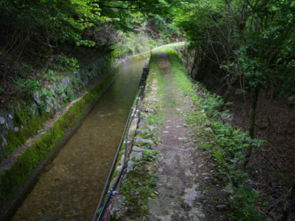 11：42　途中まではこんな感じです。
