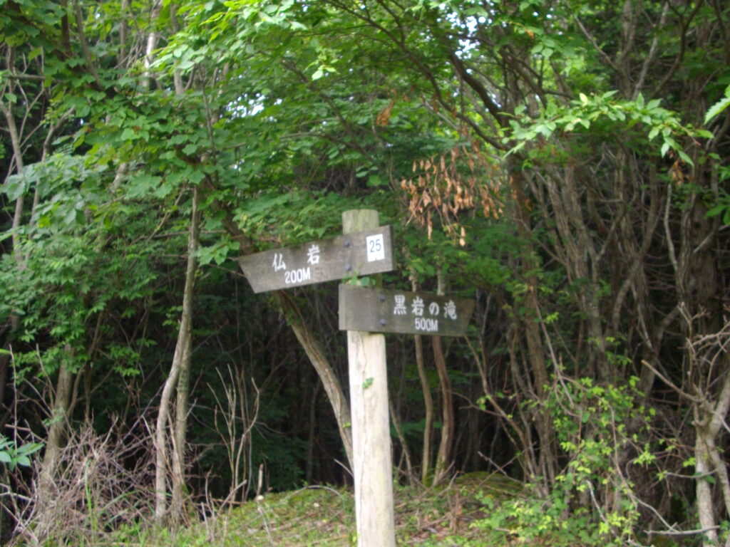 11：43　滝と仏岩の分岐点です。先に仏岩に行くことにしました。