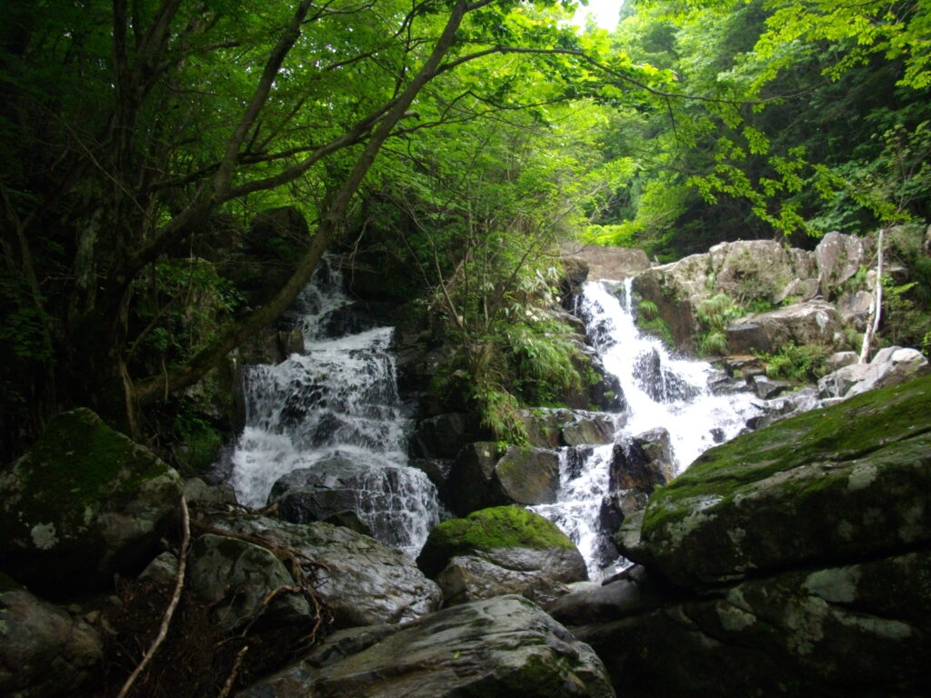 12：02　２段目の流れです。今日は2つに分かれて流れていました。
