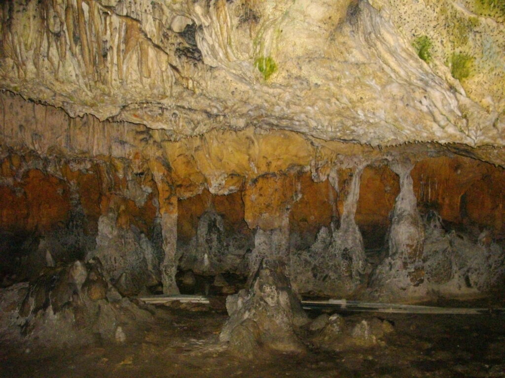 洞門のあたりでしょうか。