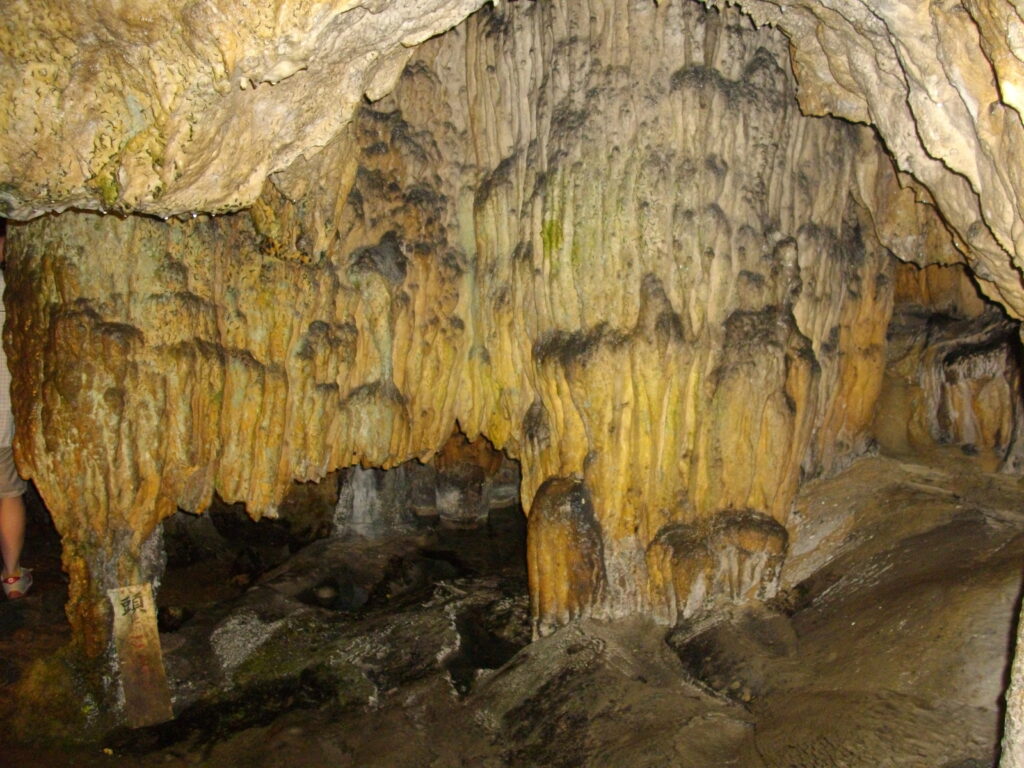 これは何でしょうね。