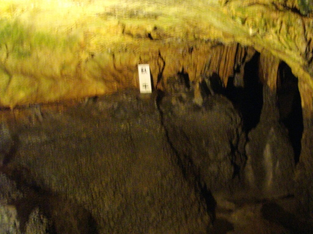 臥牛です。牛に見えなくもないですね。