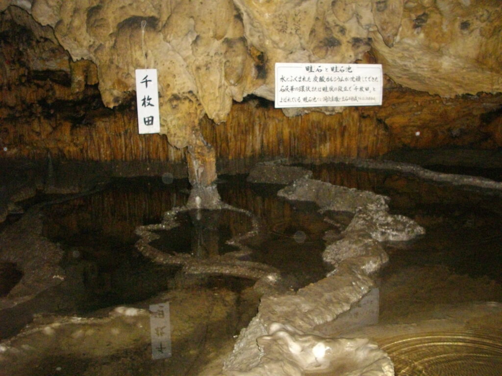 千枚田です。もっと広いんですが、入り切りませんでした。