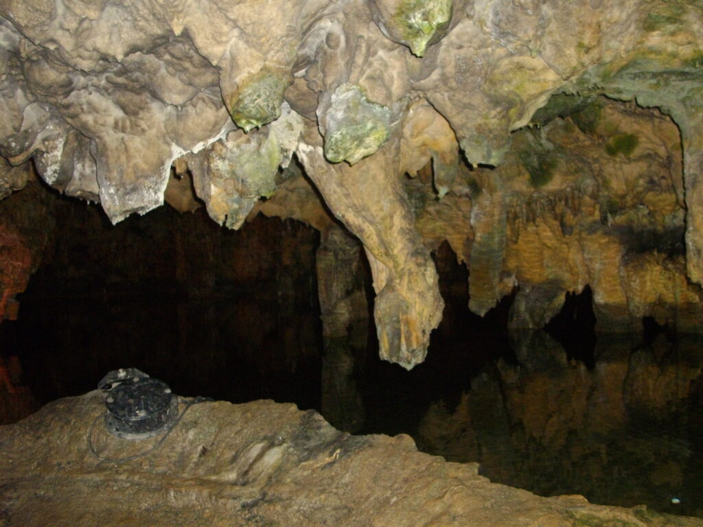 亀石です。ちょっと気持ち悪いです。