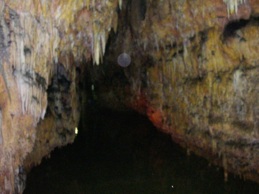 かなり奥が深そうです。