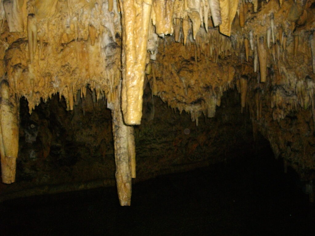 竜宮の奥のあたりじゃないでしょうか。奥の方まで光がいかないので、何かよく分かりませんね。