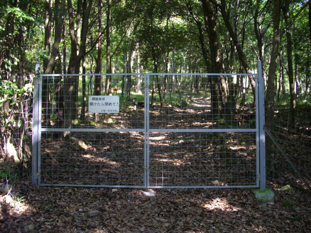 9：35　獣よけの金網を入ります。