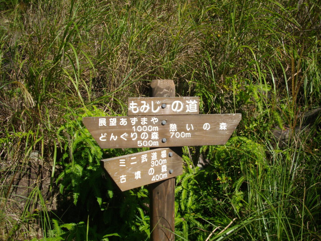 9：38　展望あずまやへの分岐です。