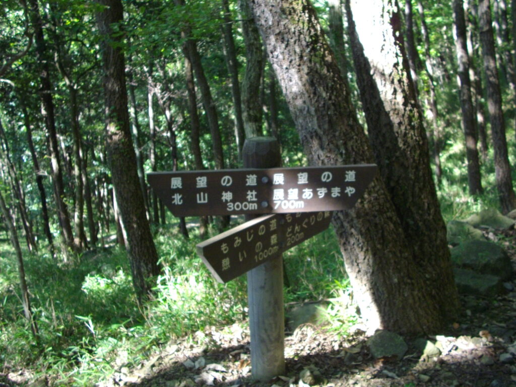 9：43　展望あずまやへの分岐です。