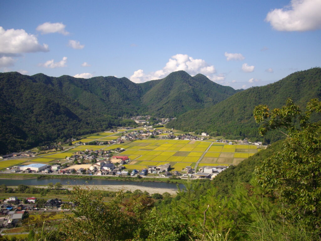 10：00　あずまやから西方面の景色です。