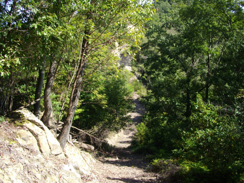 10：14　少し進んだところで、今度は下りになりました。