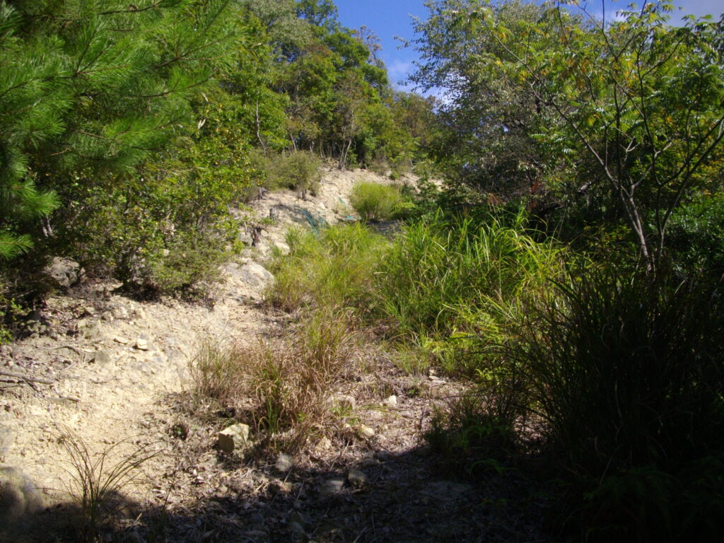 10：15　今度はまた上ります。