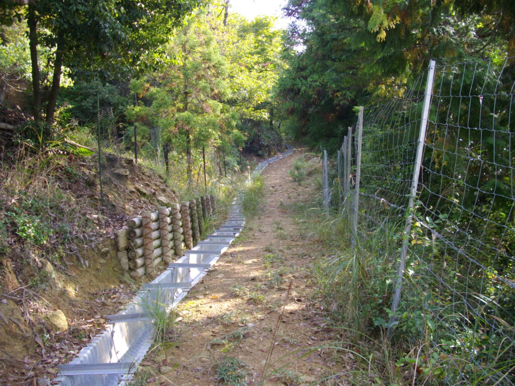 10：15　整備された通路を行きます。