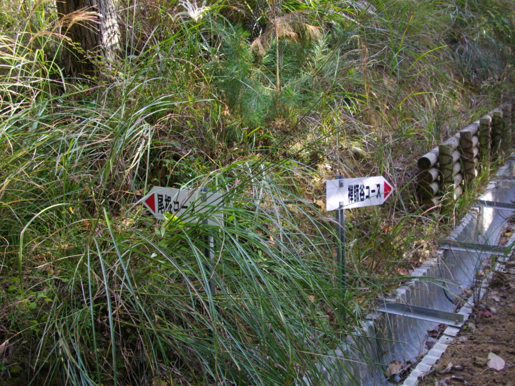 10：16　禅師谷コースと尾根コースの分岐点です。往路は、禅師谷コースにしました。