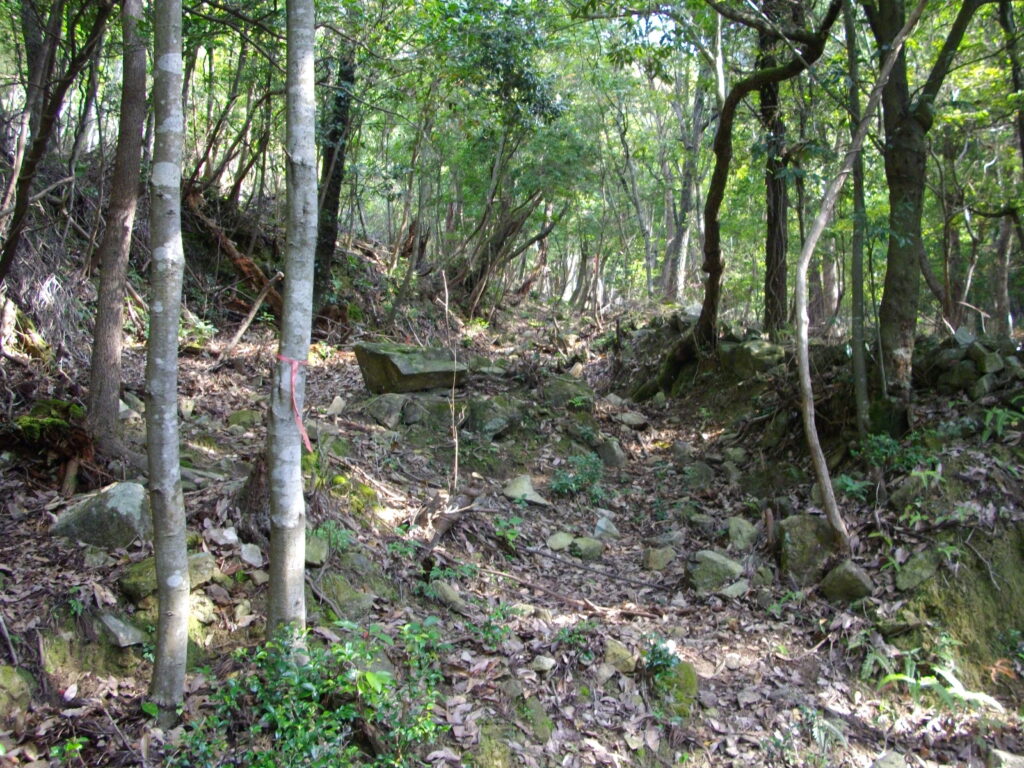 10：22　こんな感じのコースです。涸沢を登っていきます。石が多くてなかなか歩きづらいです。尾根コースと合流するまで暗く湿っぽいなかを歩き続けます。