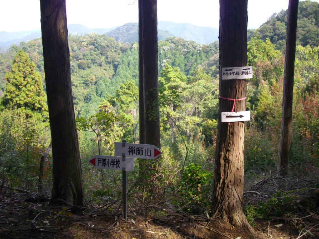 10：53　尾根コースとの合流地点です。ようやく明るい地点に出ました。ただ景色がいいのはこのあたりだけです。