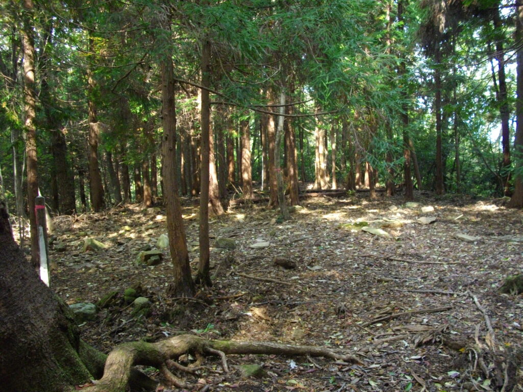 11：00　廃寺跡の様子です。