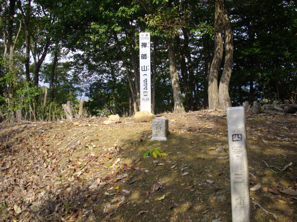 11：08　ようやく頂上にたどり着きました。木々に囲まれていて、ほとんど見えません。この山は、最初から最後までほとんど景色を楽しむと言うことはできません。あまり面白い山ではないようです。