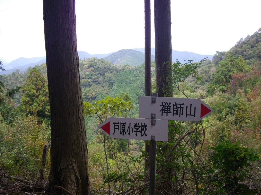 11：27　禅師谷コースとの分岐点です。ここから尾根コースを行きますが、最初の下りはけっこうきびしいです。