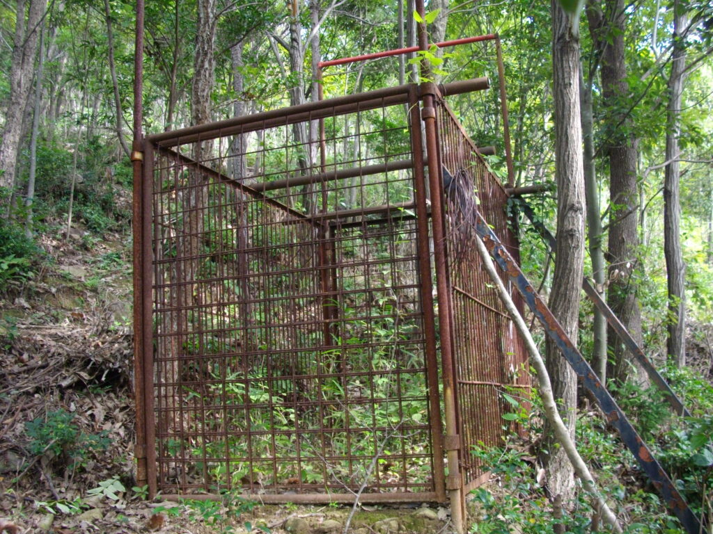 11：54　尾根コース最後あたりにある熊の檻（？）です。かなり大きいです。