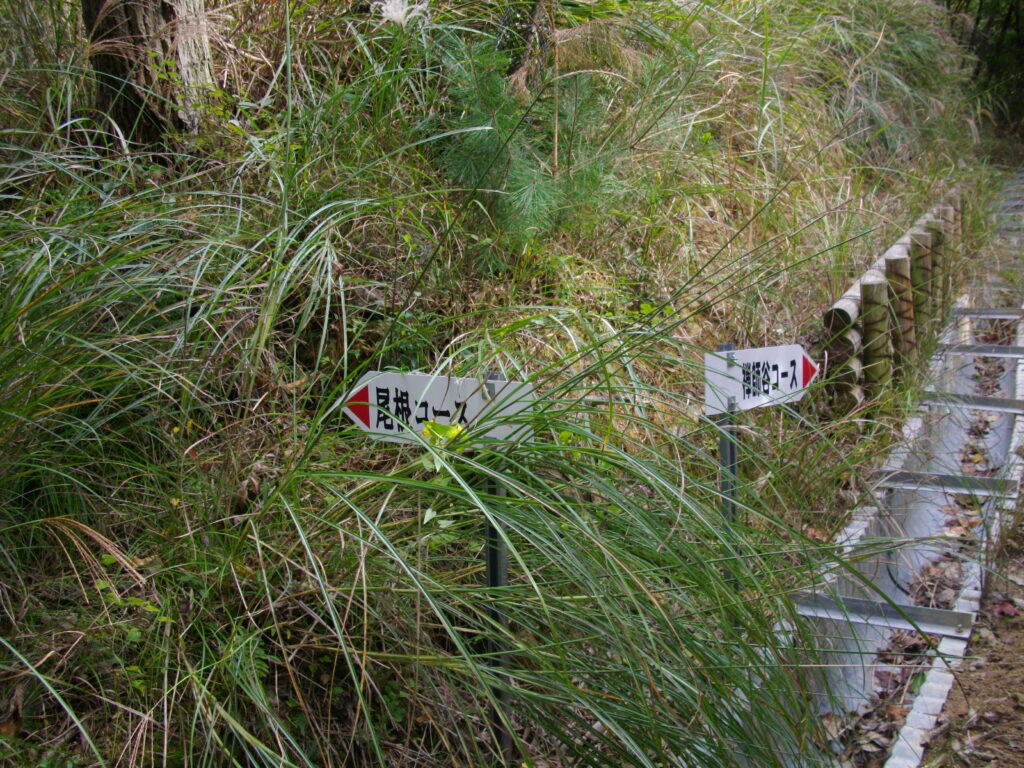 11：40　尾根コースと禅師谷の分岐点です。