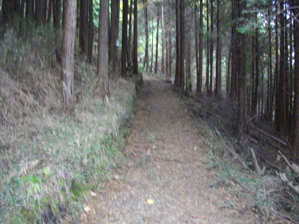 10:56 登山道の様子です。よく手入れがされています。大体これくらいの幅で頂上まで続いています。見た目は楽そうですが、意外にも手強いのでマイペースで登ってください。かなり傾斜きついのと、石が多くて滑りやすいです(特に下りは)。
