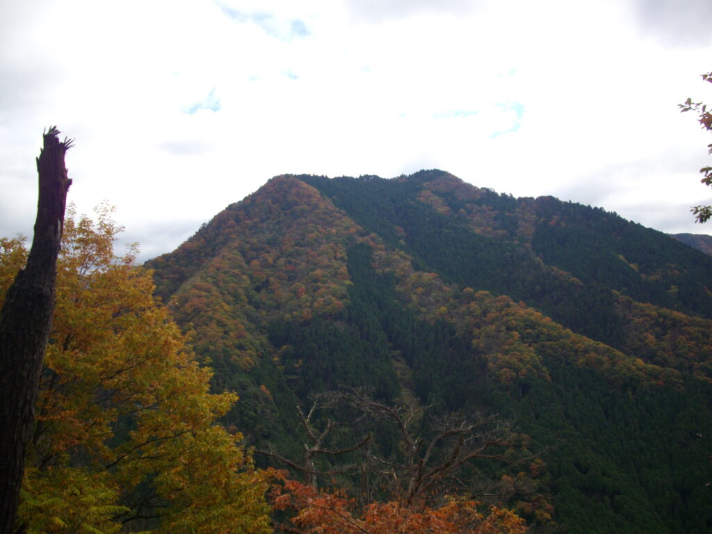 11:12 その当たりから見える景色です。