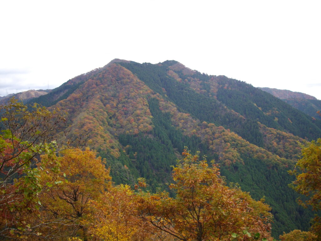 11:16 頂上から見える景色