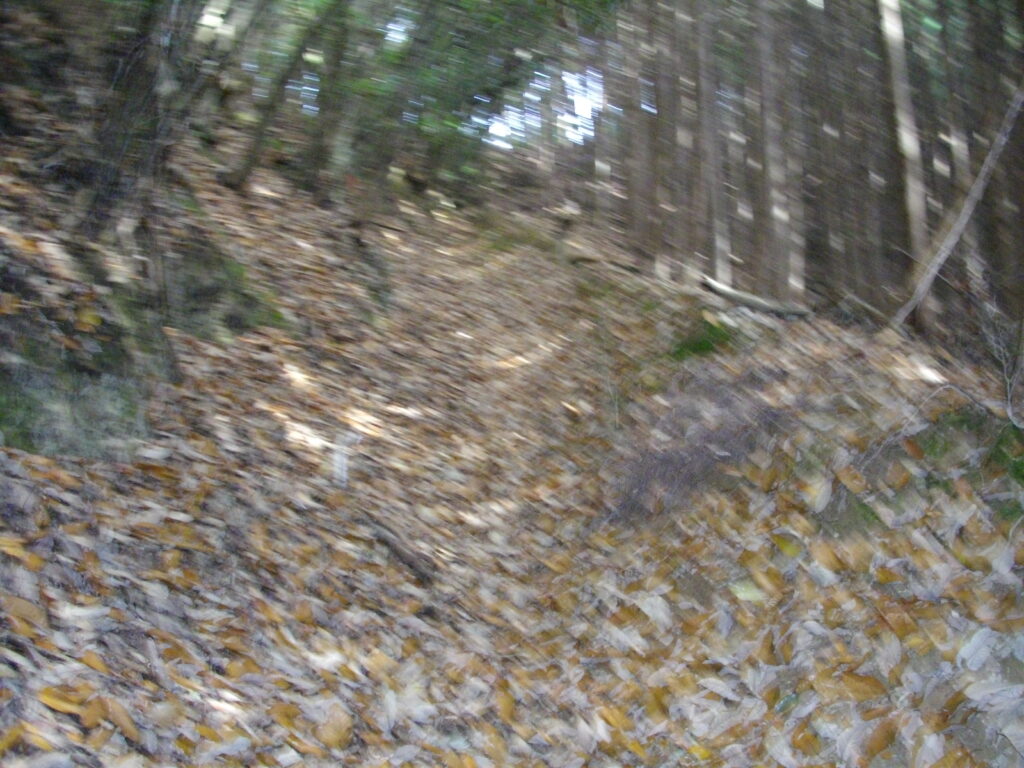 9:54 途中の登山道の様子です。落ち葉がいっぱいです。写真がちょっとボケてますね。