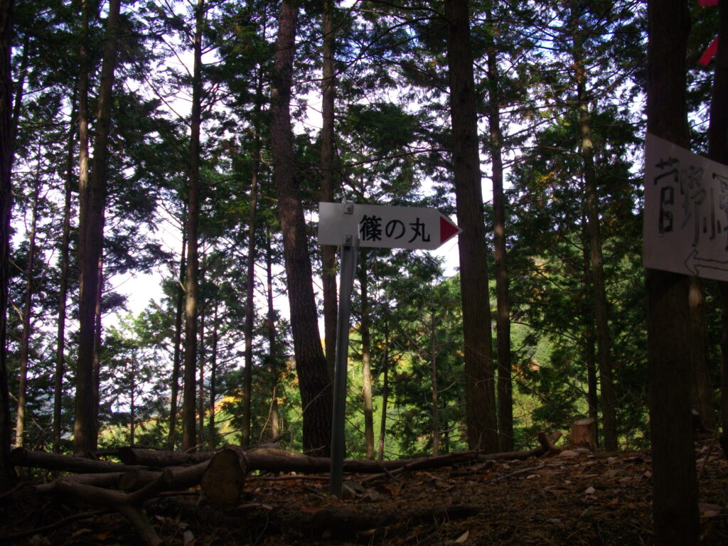 9:55 尾根ルートに変わります。