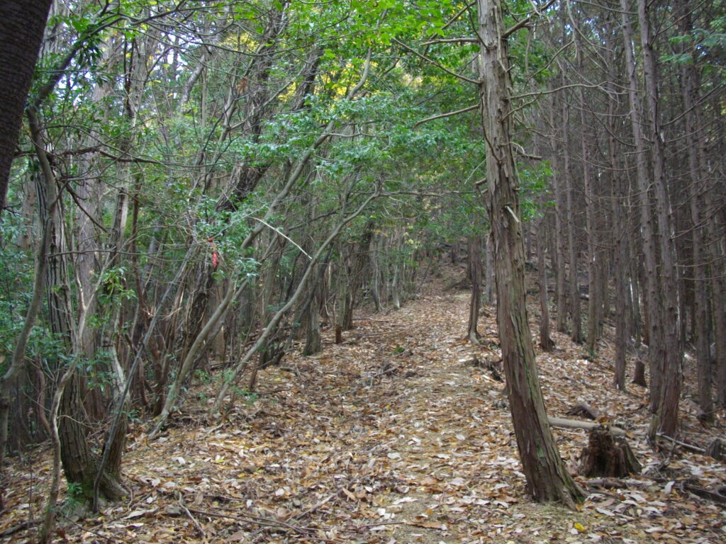 9:56 尾根ルートの様子です。ちょっと明るくなりました。ここからも急な上り坂が続きます。