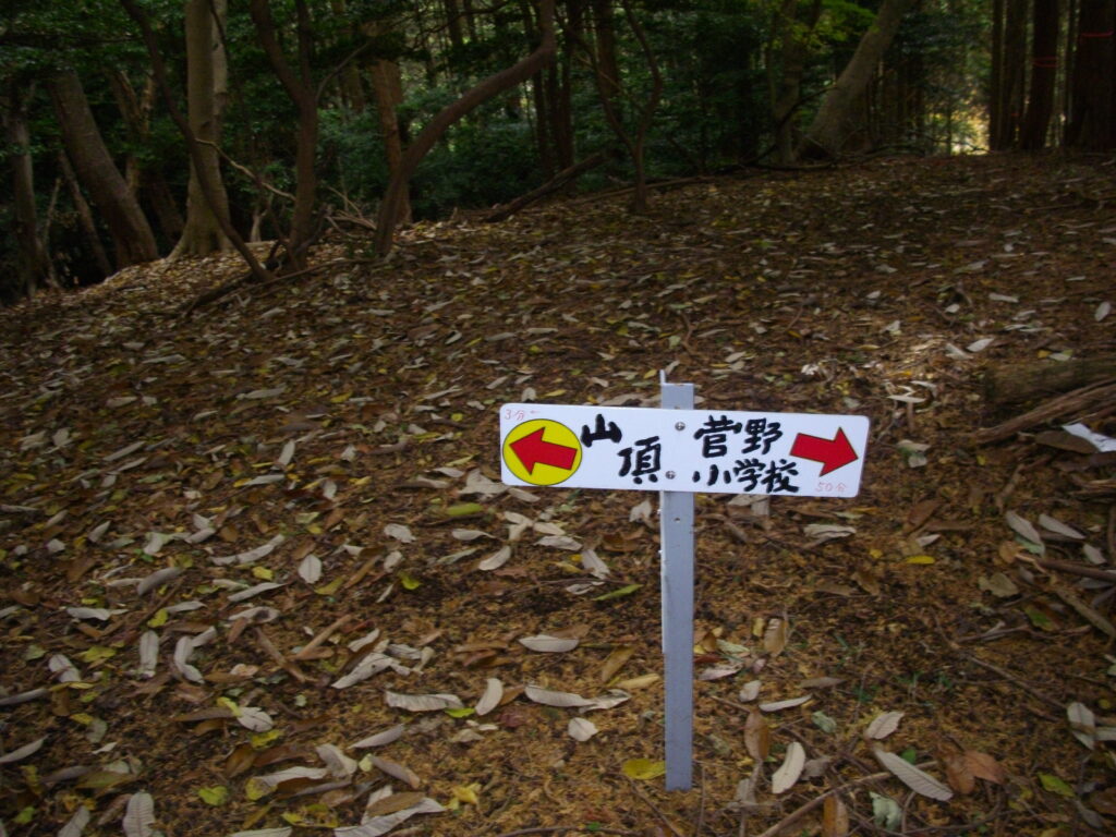 10:17 山頂手前の分岐点です。写真の奥側が一本松への道になります。